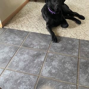 Meet your Posher, Vicki